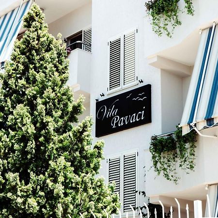 Apartments Vila Pavaci Velipojë Zewnętrze zdjęcie